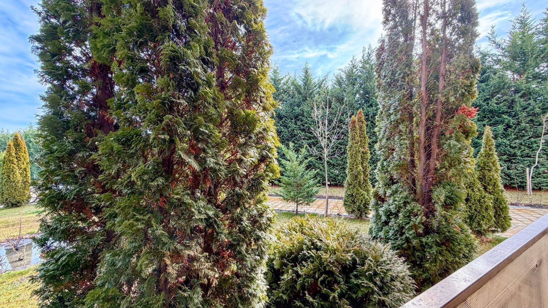 Просторно студио с тераса в модерен комплекс на Слънчев бряг – комфорт и развлечения на кратка разходка от морето