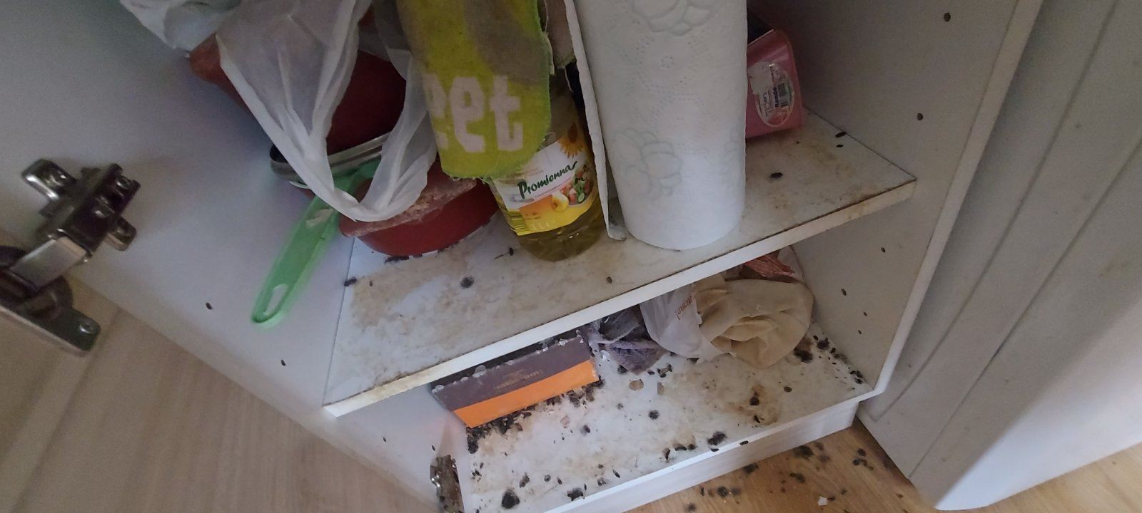 Студио с панорамна гледка в комплекс край Слънчев бряг – отлична инвестиционна възможност