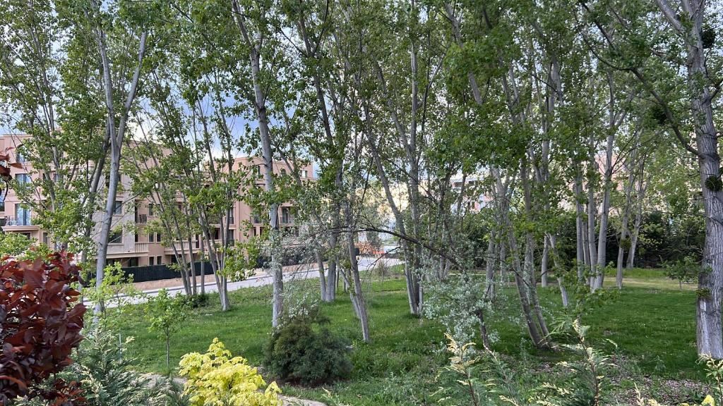 Светъл и стилен двустаен апартамент в луксозен комплекс на Слънчев бряг – отличен избор за живеене и почивка