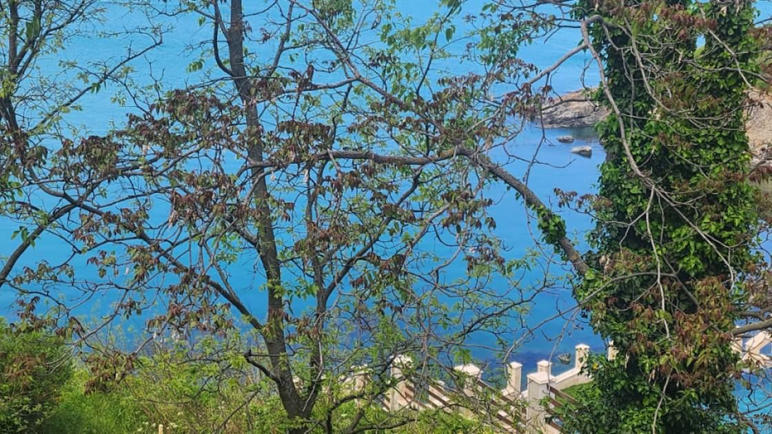 Мезонет на първа линия море в Созопол с панорамни гледки и бутикова локация