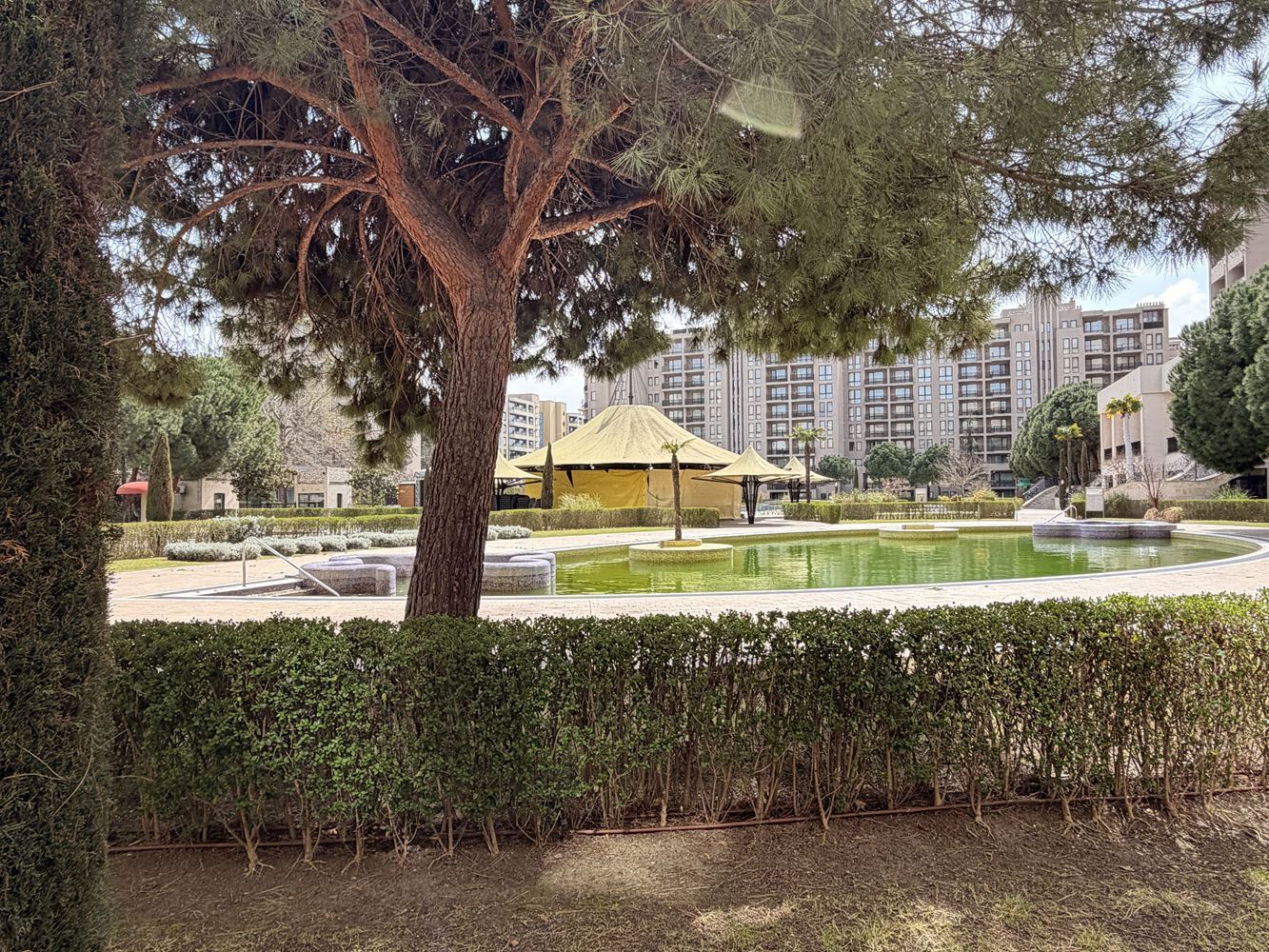 Ексклузивно студио с градина и директен достъп до басейн – на 100 м от морето в Слънчев бряг